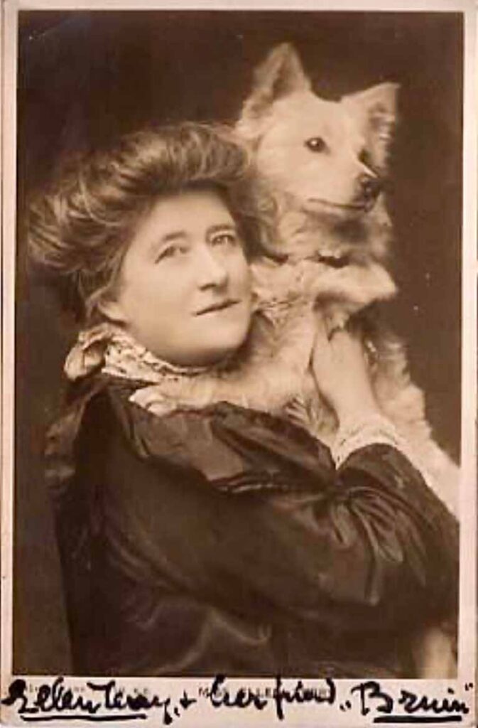 Vintage photo with white dog